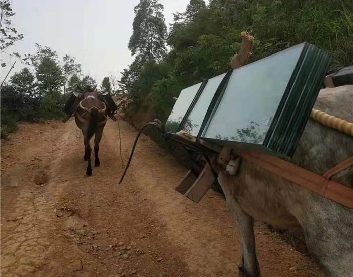 雷山县马帮运输工程队